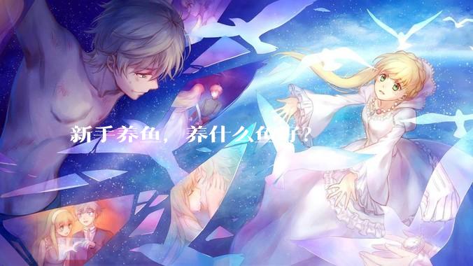 新手养鱼，养什么鱼好？