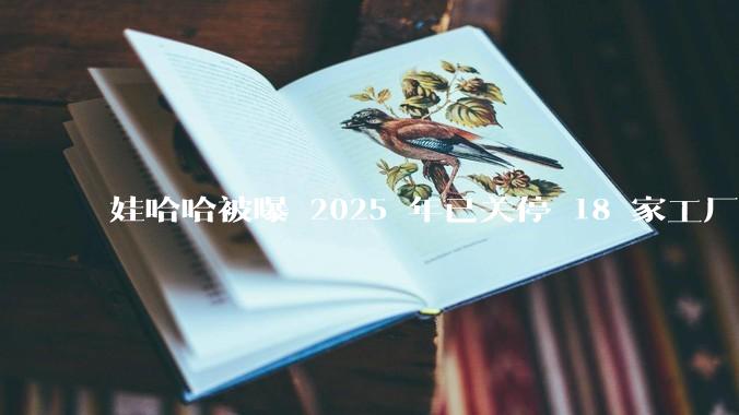 娃哈哈被曝 2025 年已关停 18 家工厂，此前曾回应纯净水由今麦郎代工，娃哈哈到底在布局什么？
