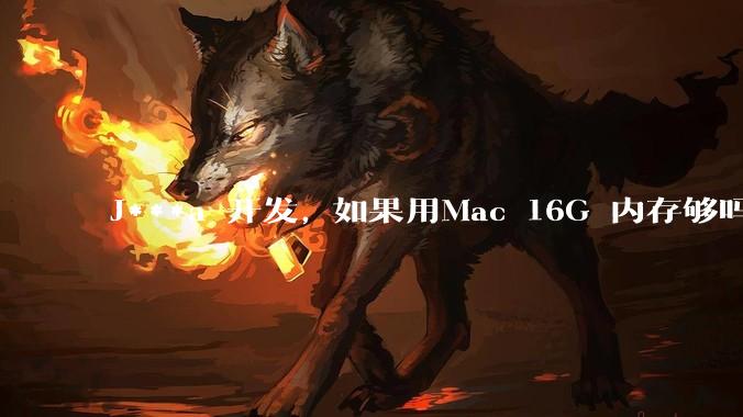 J***a 开发, 如果用Mac 16G 内存够吗?