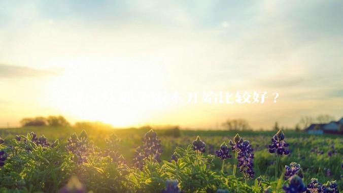 学习pr从那个版本开始比较好?