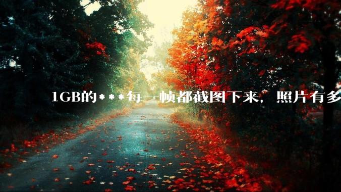 1GB的***每一帧都截图下来，照片有多少GB？
