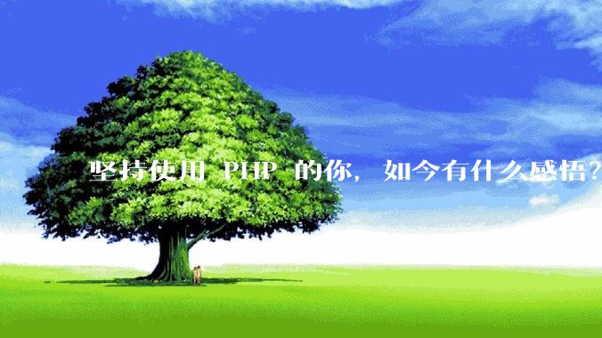 坚持使用 PHP 的你，如今有什么感悟？