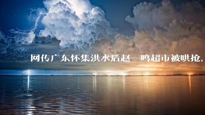 网传广东怀集洪水后赵一鸣超市被哄抢，县***回应相关单位正在核实，若属实哄抢者该承担哪些法律责任？