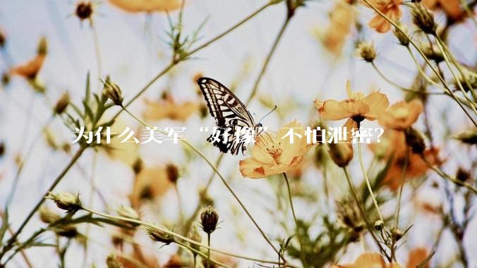为什么美军“好像”不怕泄密？