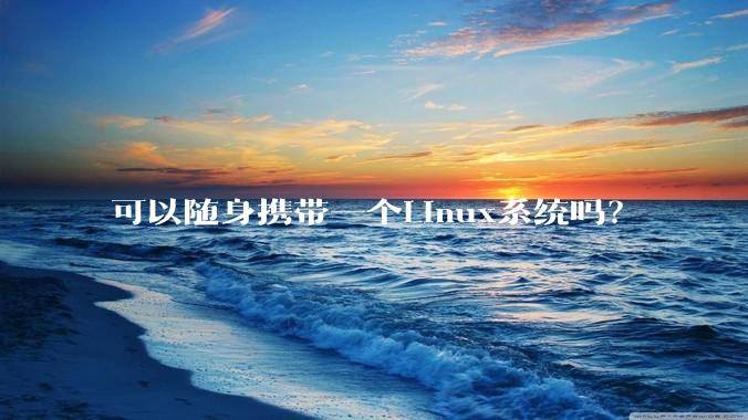 可以随身携带一个Linux系统吗？
